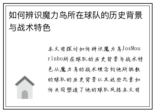 如何辨识魔力鸟所在球队的历史背景与战术特色