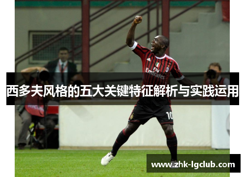 西多夫风格的五大关键特征解析与实践运用