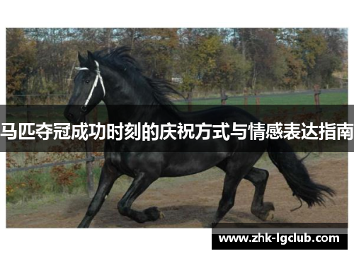 马匹夺冠成功时刻的庆祝方式与情感表达指南