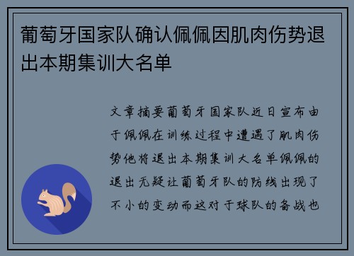 葡萄牙国家队确认佩佩因肌肉伤势退出本期集训大名单